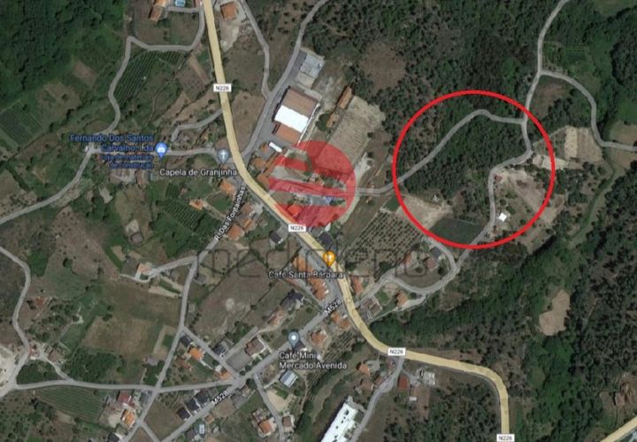 Terra a Moimenta da Beira, Viseu, Moimenta da Beira - € 25.000 | Ref: 1657 - foto 1