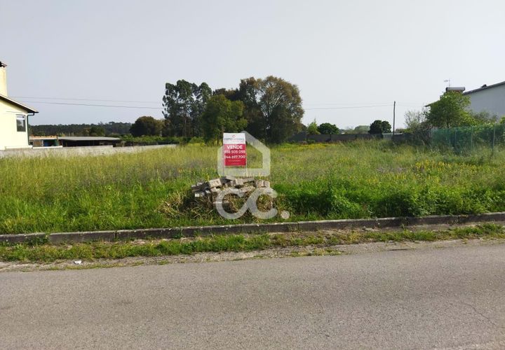 Terra a Monte Real, Leiria, Monte Real - € 45.000 | Ref: 235/T/01351 - foto 1