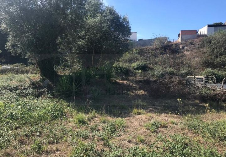 Terra a Angeja, Aveiro, Angeja - € 100.000 | Ref: AV22/174 - foto 1