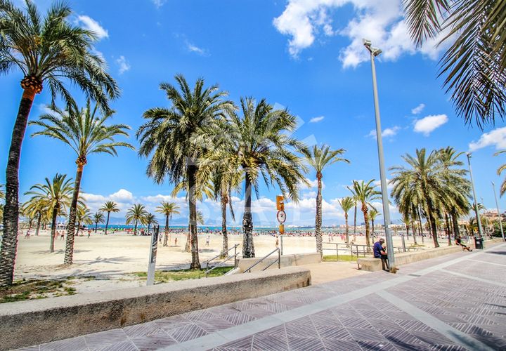 Byhus i Palma De Mallorca, Mallorca, Palma De Mallorca - € 3.000.000 | Ref: 1282 - foto 1