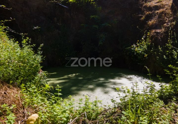 Helårsgrund i Amarante, Porto, Amarante - € 52.000 | Ref: ZMPT552161 - foto 1