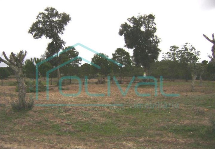 Helårsgrund i Coruche, Santarem, Coruche - € 300.000 | Ref: TS64 - foto 1