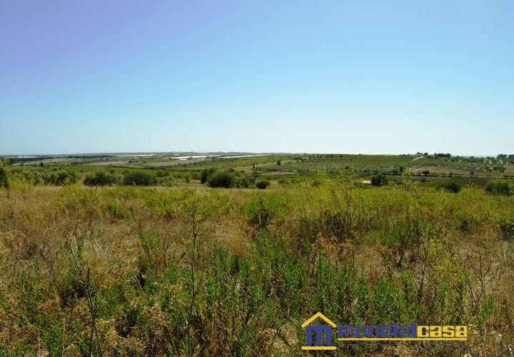 Helårsgrund i Noto, Siracusa, Noto - € 38.000 | Ref: Buonivini - foto 1