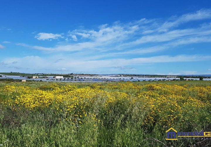 Helårsgrund i Noto, Siracusa, Noto - € 30.000 | Ref: SBC-1161 - foto 1