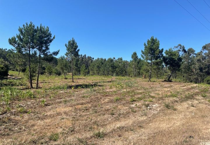 Helårsgrund i Santo Onofre e Serra do Bouro, Leiria, Santo Onofre e Serra do Bouro - € 97.000 | Ref: 143WCP - foto 1
