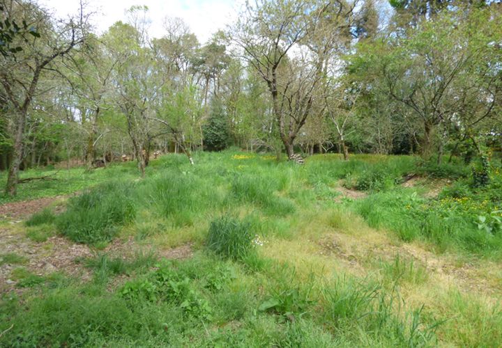 Terra a Loyat, Morbihan, Loyat - € 62.500 | Ref: 11372p - foto 1