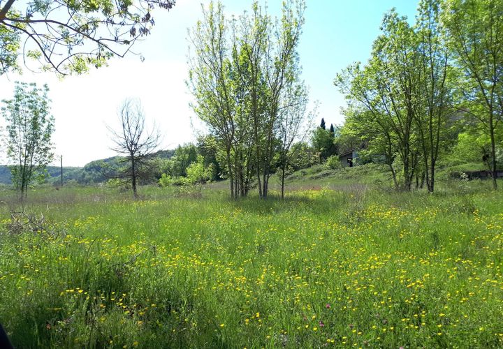 Terra a Les Vans, Ardeche, Les Vans - € 71.500 | Ref: 6855335 - foto 1