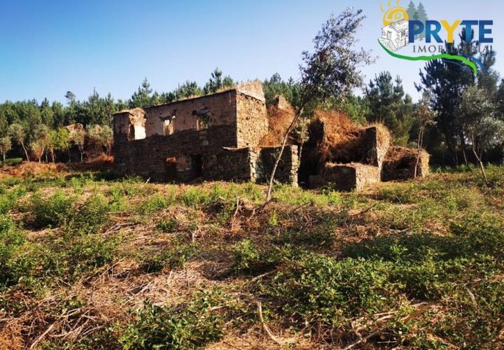 Farm i Serta, Castelo Branco, Serta - € 579.000 | Ref: AA156 - foto 1