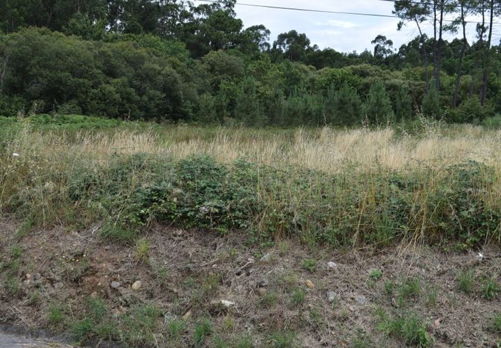 Helårsgrund i Gandra e Taiao, Viana do Castelo, Gandra e Taiao - € 75.000 | Ref: VLC0127T - foto 1