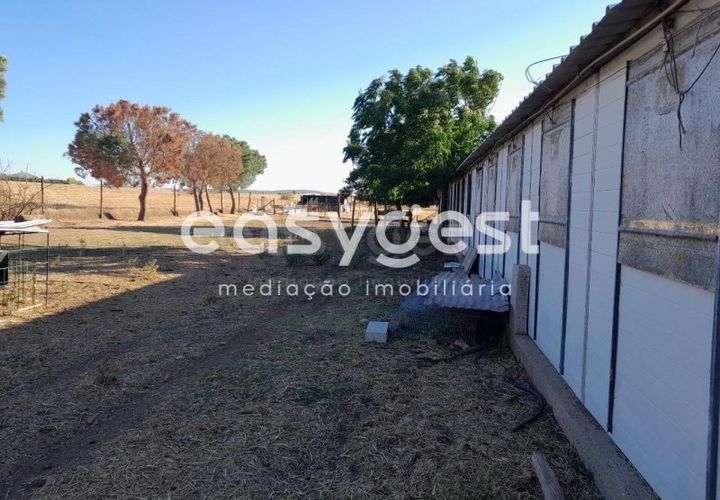 Helårsgrund i Beringel, Beja, Beringel - € 88.000 | Ref: BJ89979 - foto 1