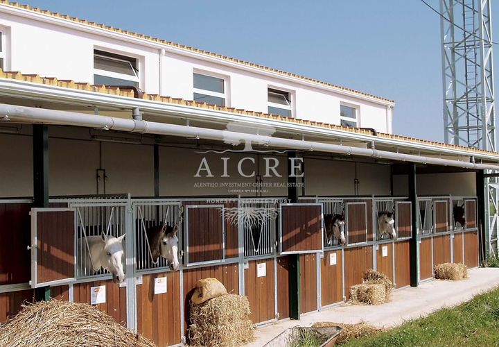 Gospodarstwo: Aljustrel, Beja, Aljustrel – 2 400 000 € | Ref: 1882022-EM – zdjęcie 1