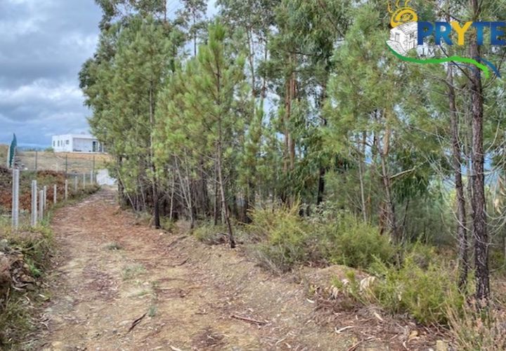 Helårsgrund i Serta, Castelo Branco, Serta - € 34.500 | Ref: MG104 - foto 1