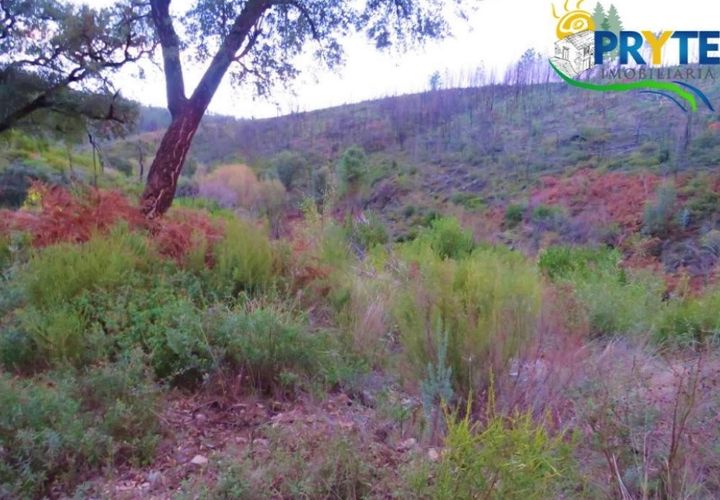 Helårsgrund i Serta, Castelo Branco, Serta - € 18.500 | Ref: AA154 - foto 1