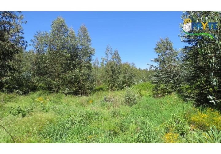 Helårsgrund i Serta, Castelo Branco, Serta - € 39.000 | Ref: AA112 - foto 1