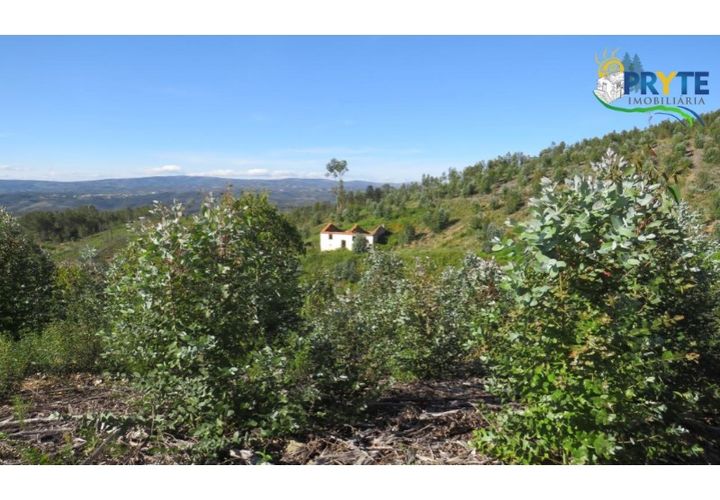 Helårsgrund i Serta, Castelo Branco, Serta - € 37.000 | Ref: AA106 - foto 1