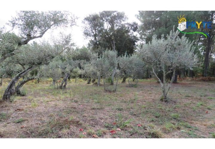 Terra a Cabecudo, Castelo Branco, Cabecudo - € 45.000 | Ref: AS39 - foto 1