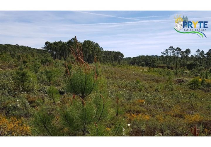 Helårsgrund i Serta, Castelo Branco, Serta - € 35.000 | Ref: AS29 - foto 1