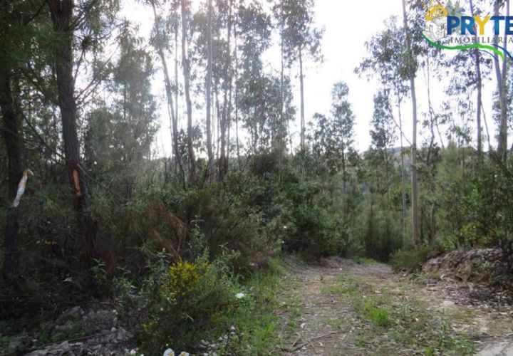 Helårsgrund i Serta, Castelo Branco, Serta - € 100.000 | Ref: AA44 - foto 1