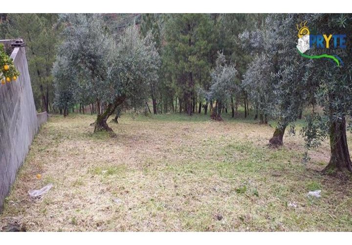Helårsgrund i Serta, Castelo Branco, Serta - € 17.500 | Ref: MG60 - foto 1