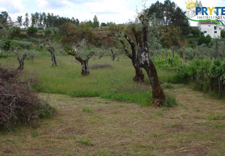 Landejendom i Cabecudo, Castelo Branco, Cabecudo - € 49.900 | Ref: VF14 - foto 1