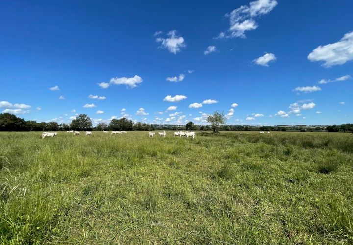 Helårsgrund i Bourges, Cher, Bourges - € 155.000 | Ref: A2308-ANG - foto 1