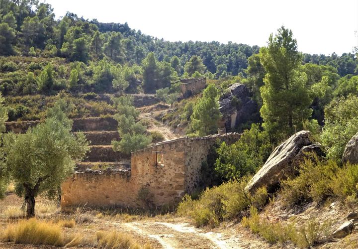 Finca i Maella, Zaragoza, Maella - € 64.000 | Ref: 0818 - foto 1