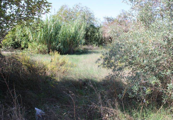 Helårsgrund i Tomar, Santarem, Tomar - € 19.500 | Ref: A522022 - foto 1