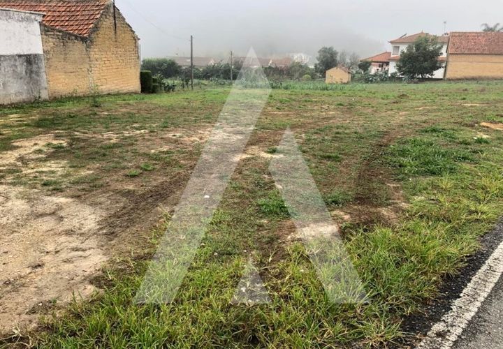 Helårsgrund i Anadia, Aveiro, Anadia - € 29.000 | Ref: 1050967/22 OB - foto 1