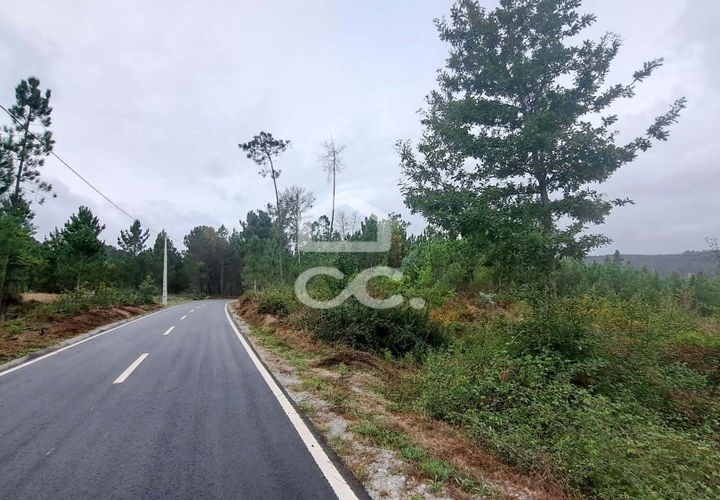 Terra em Calde, Viseu, Calde - € 35.000 | Ref: 353/T/02276 - foto 1