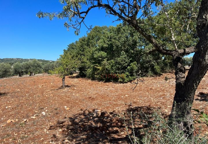 Helårsgrund i Ostuni, Brindisi, Ostuni - € 80.000 | Ref: 199 - foto 1