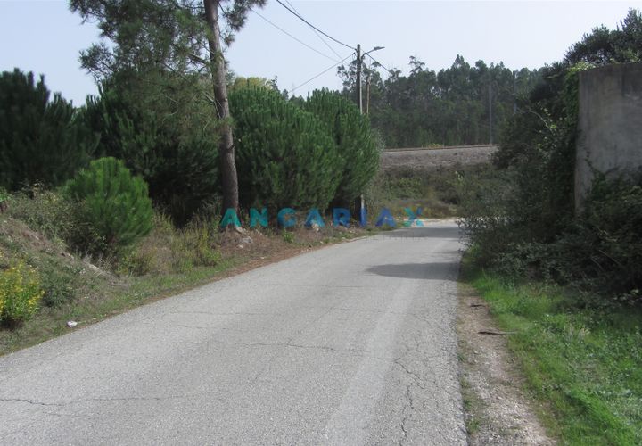 Helårsgrund i Pombal, Leiria, Pombal - € 10.000 | Ref: ANG593 - foto 1