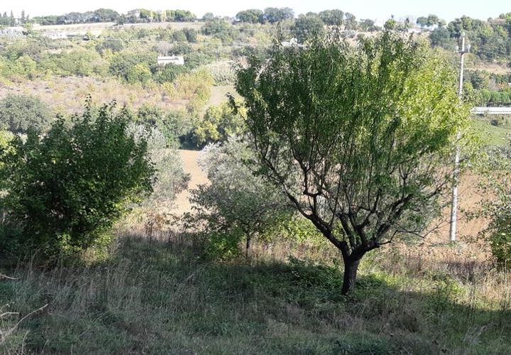 Helårsgrund i Montecosaro, Macerata, Montecosaro - € 55.000 | Ref: mc3-19522 - foto 1