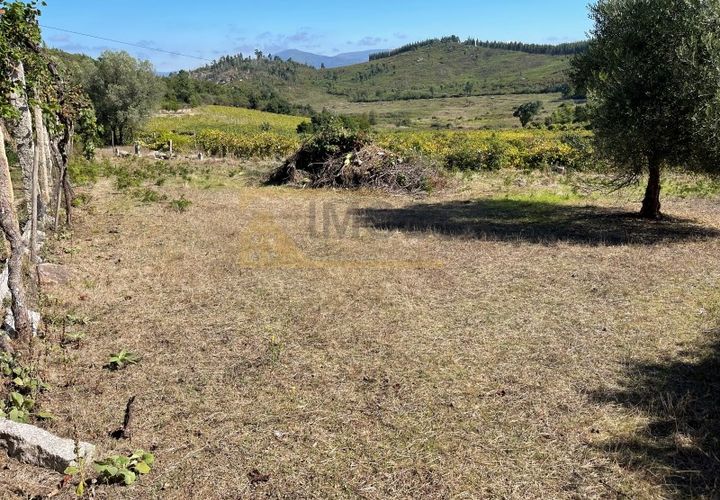 Terra a Cambeses, Viana do Castelo, Cambeses - € 600/mes | Ref: REF187 - foto 1