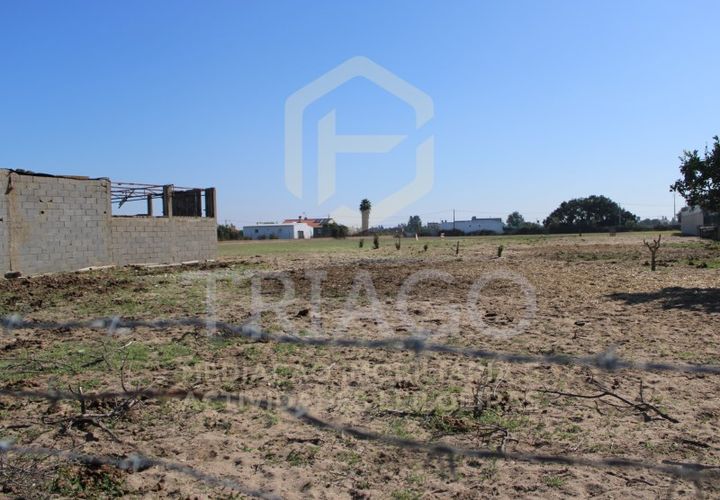 Helårsgrund i Benavente, Santarem, Benavente - € 680.000 | Ref: TER_585 - foto 1