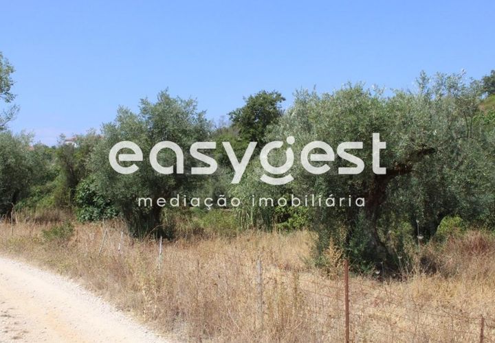 Helårsgrund i Tomar, Santarem, Tomar - € 11.000 | Ref: TM903912 - foto 1