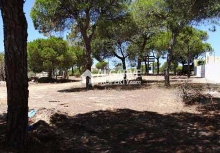 Helårsgrund i Almancil, Faro, Almancil - € 1.975.000 | Ref: TC143916J - foto 1