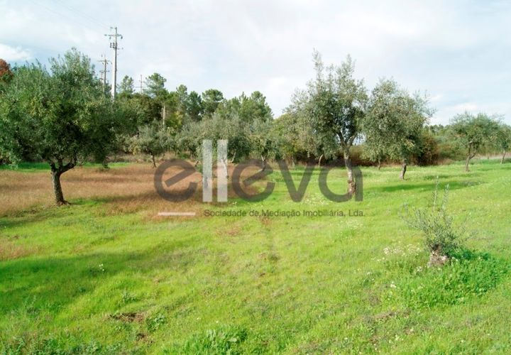 Helårsgrund i Castelo Branco, Castelo Branco, Castelo Branco - € 25.000 | Ref: 3603 - foto 1