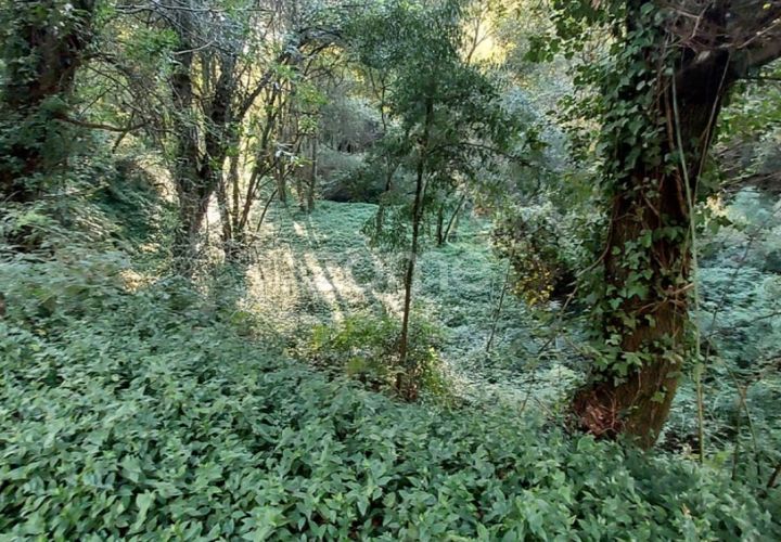 Helårsgrund i Gondomar, Porto, Gondomar - € 39.000 | Ref: ZMPT553317 - foto 1