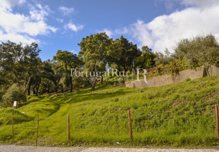 Terreno en Proenca-a-Nova, Castelo Branco, Proenca-a-Nova - € 65.000 | Ref: 661-2 - photo 1