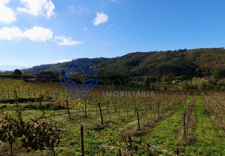 Helårsgrund i Baiao, Porto, Baiao - € 80.000 | Ref: 149431 - foto 1