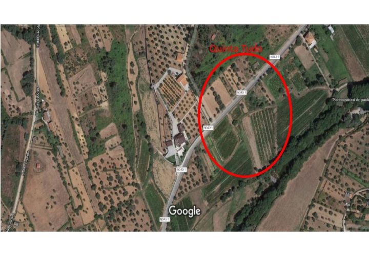 Terra a Paul, Castelo Branco, Paul - € 10.000 | Ref: W6116 - foto 1