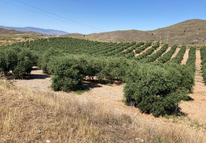 Tomt i Sorbas, Almeria, Sorbas - € 88 500 | Ref: SOR324 - foto 1