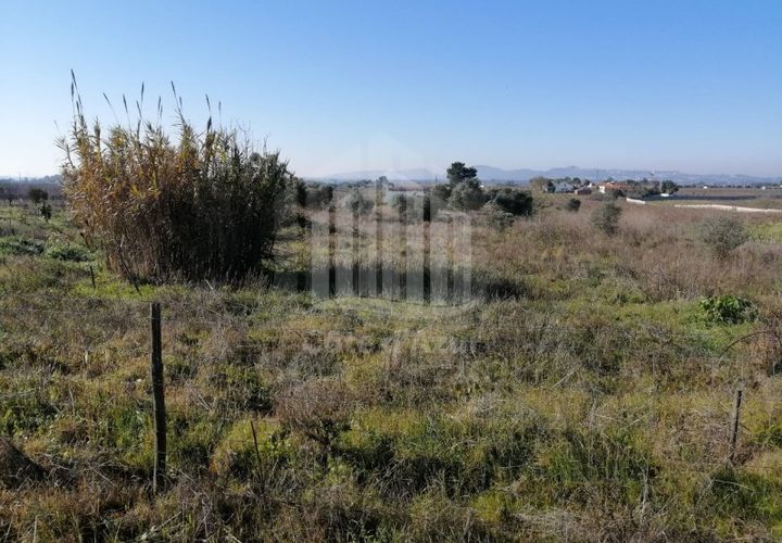 Helårsgrund i Palmela, Setubal, Palmela - € 550.000 | Ref: 8990 - foto 1