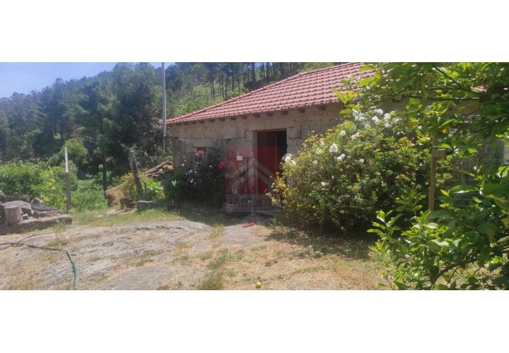 Farm i Cinfaes, Viseu, Cinfaes - € 325.000 | Ref: 037/22 - foto 1