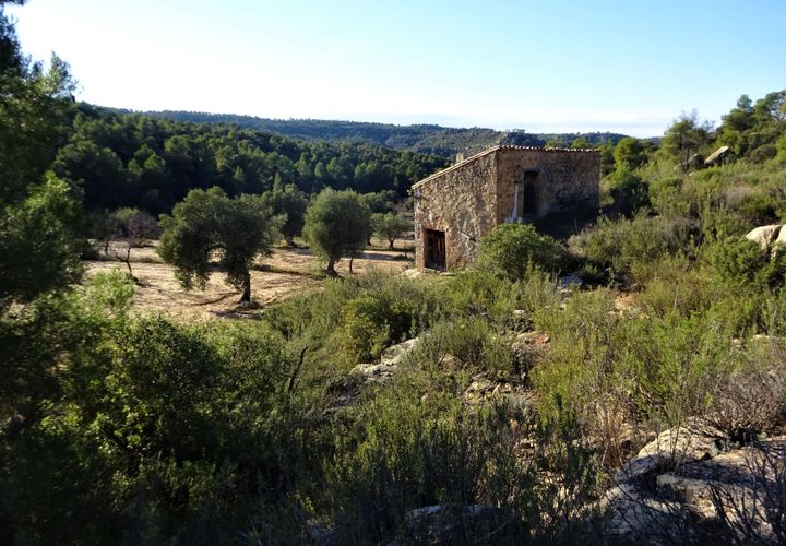 Finca i Maella, Zaragoza, Maella - € 21.000 | Ref: 0823 - foto 1