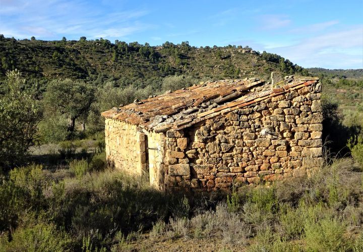 Finca i Maella, Zaragoza, Maella - € 15.500 | Ref: 0840 - foto 1