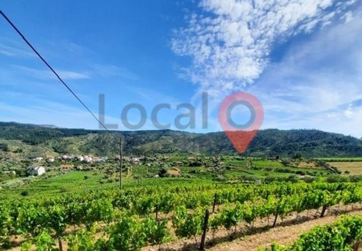 Terra a Alijo, Vila Real, Alijo - € 450.000 | Ref: T011 - foto 1