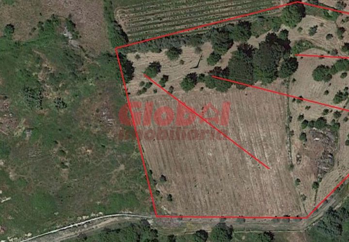 Helårsgrund i Viseu, Viseu, Viseu - € 50.000 | Ref: 189222419 - foto 1