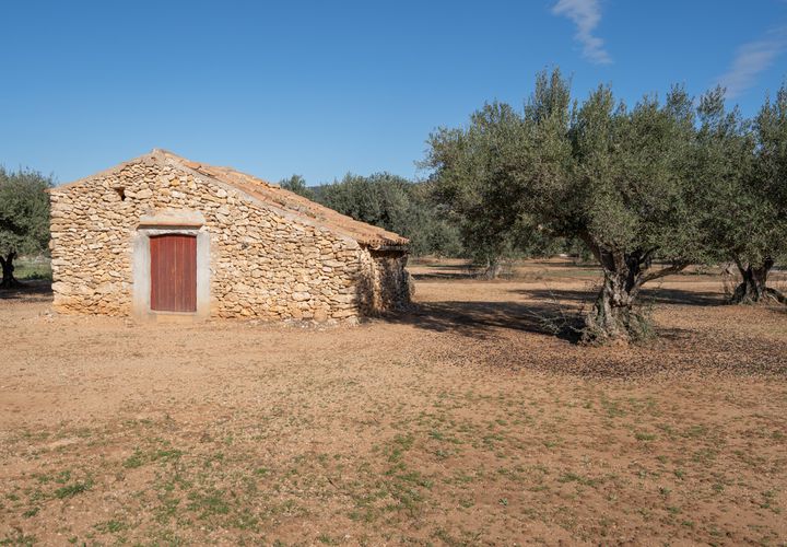 Finca i Tivenys, Tarragona, Tivenys - € 36.000 | Ref: 799 - foto 1