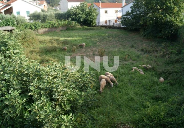 Terra a Paul, Castelo Branco, Paul - € 45.000 | Ref: UNU.I.1677.12348 - foto 1